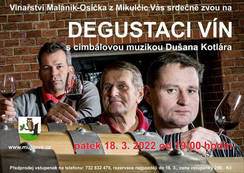 Degustace vín s cimbálovou muzikou